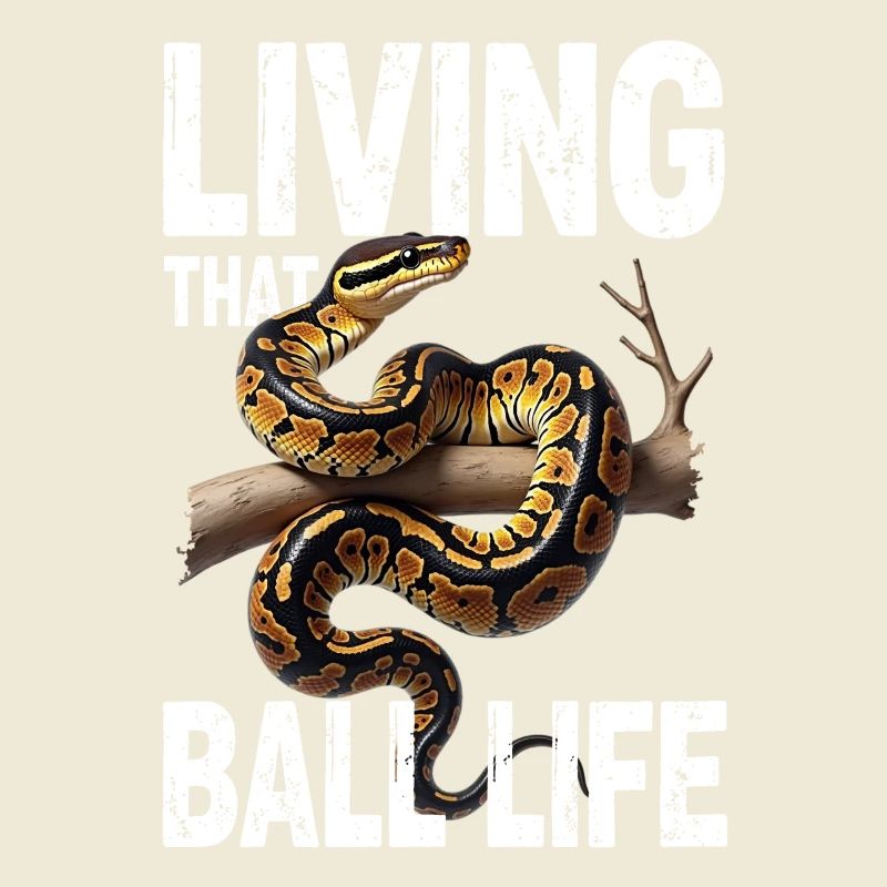 Python roi Serpents Amateurs de terrarium Python