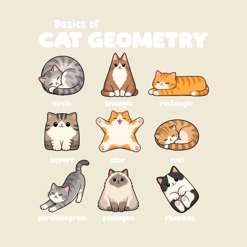 Basics of Cat Geometry Fun Math