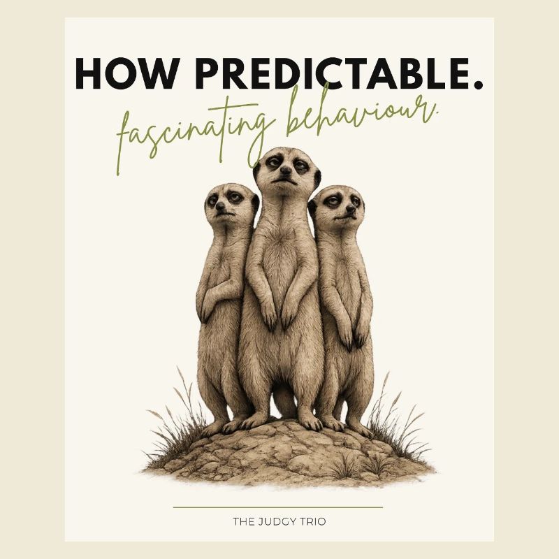 Quel trio de suricates prévisible