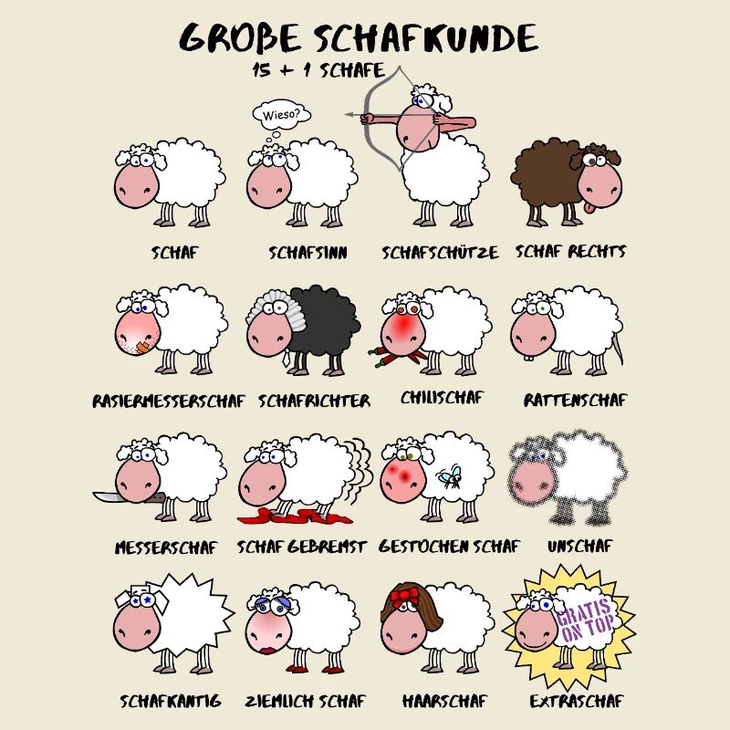 Excellente connaissance des moutons