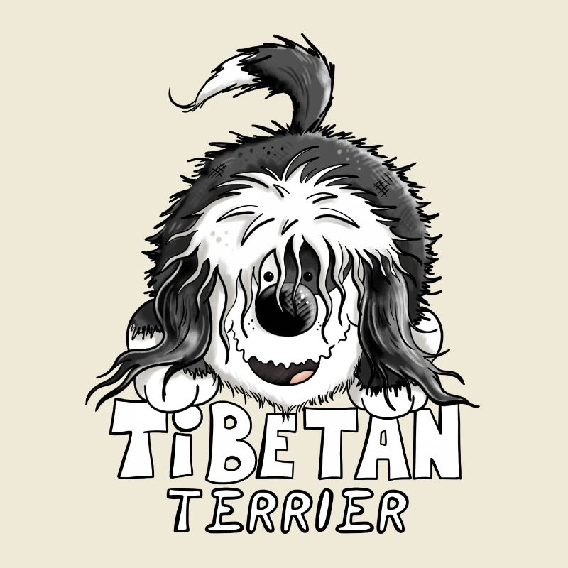 Süßer Tibet Terrier