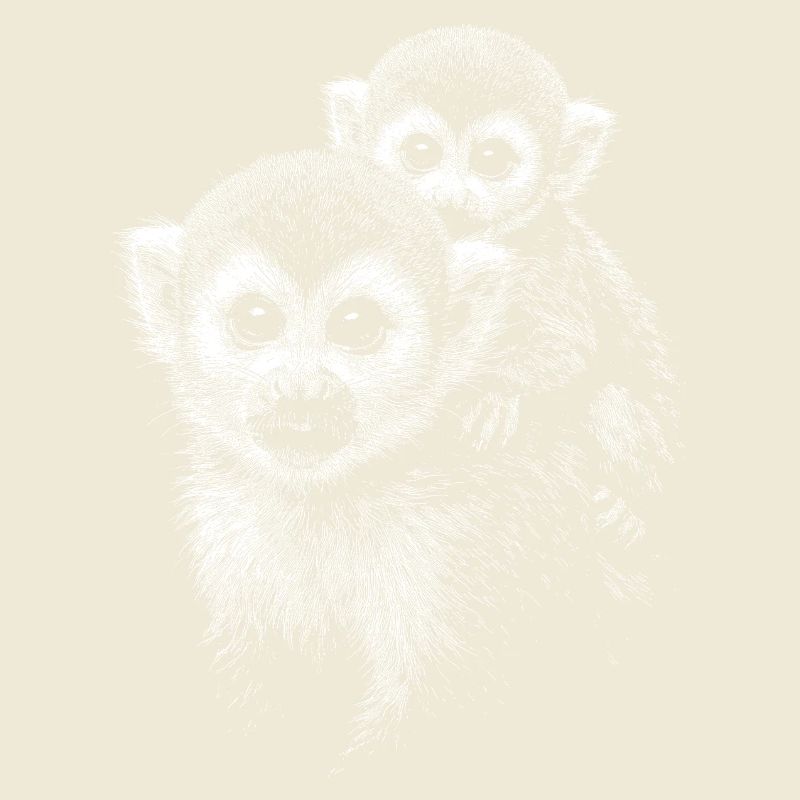 Singe écureuil