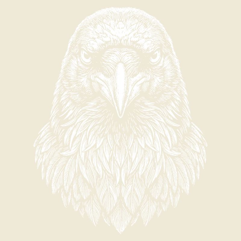Aviator Eagle Headline Art