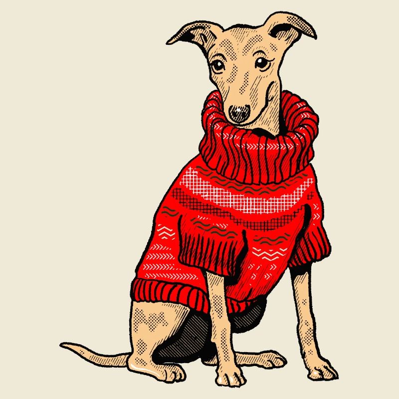 Hund im roten Strickpullover