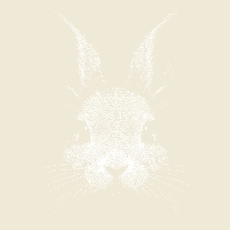Lapin