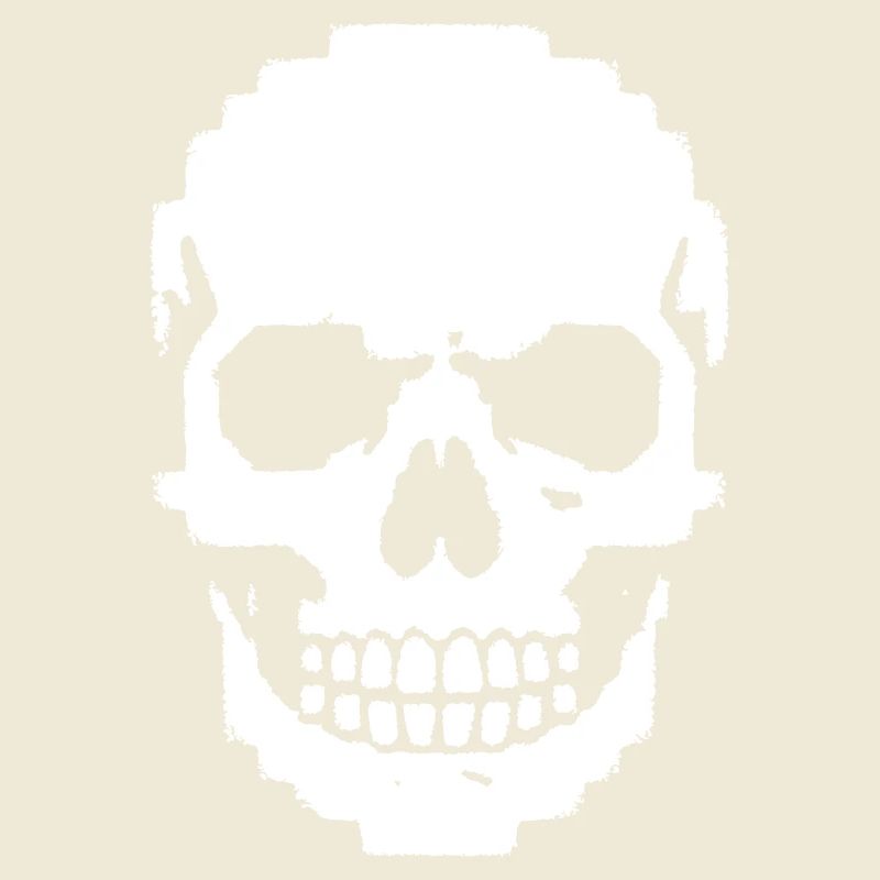 Pixel Skull Skull 8-Bit