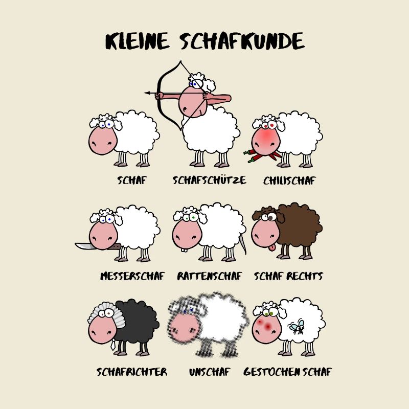 A little sheep knowledge