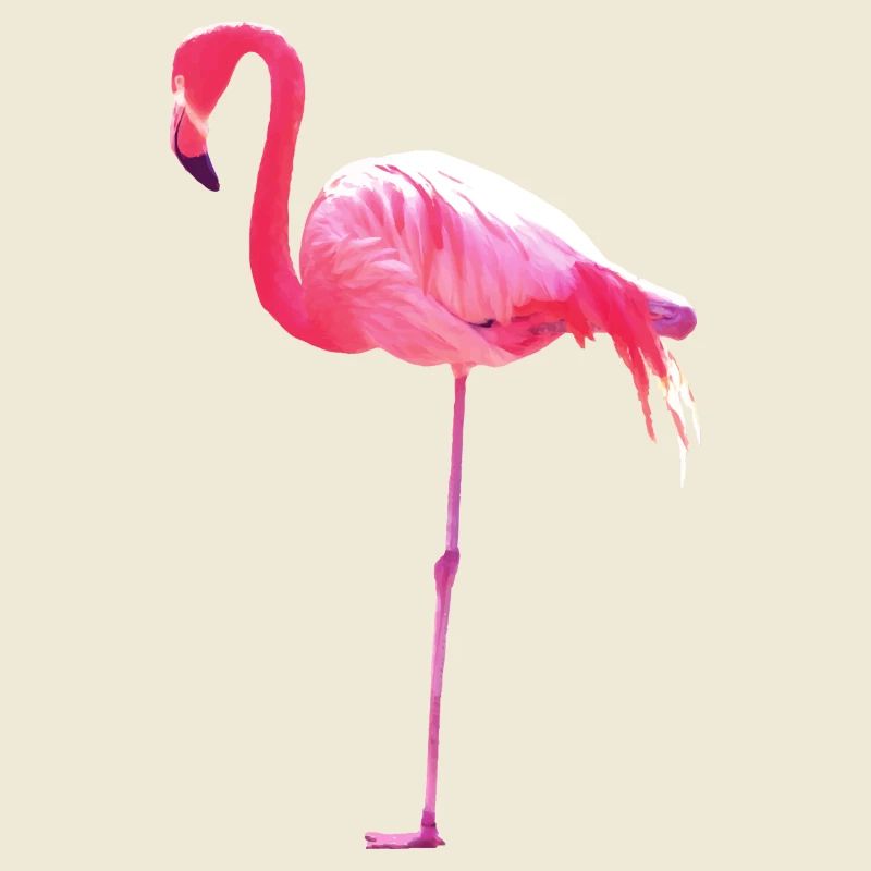 flamingo
