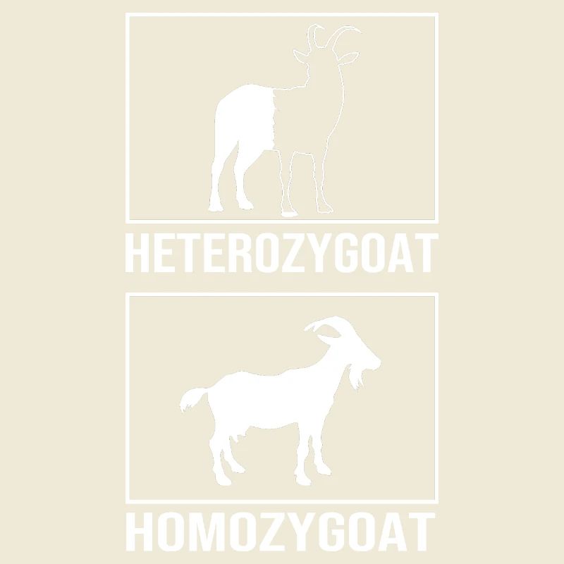 Molecule Structural Formula