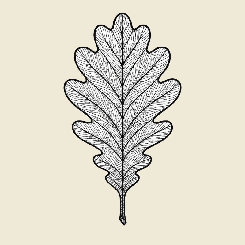 Monochromes Eichenblatt-Design