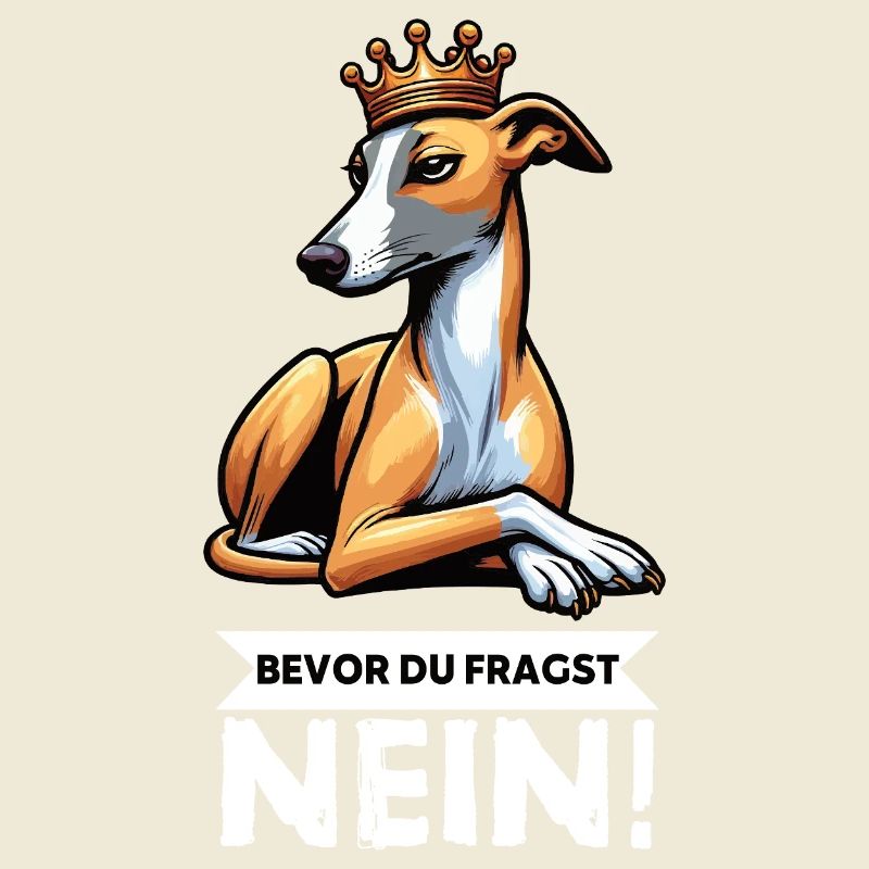 Avant de demander aux Whippets Greyhound Whippets