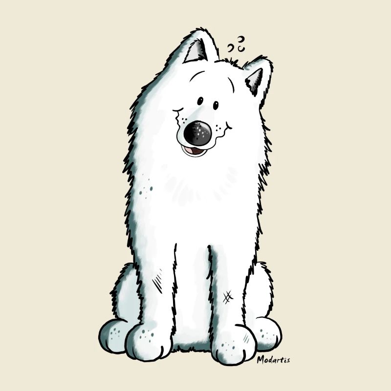 Mignon Samoyède Chien