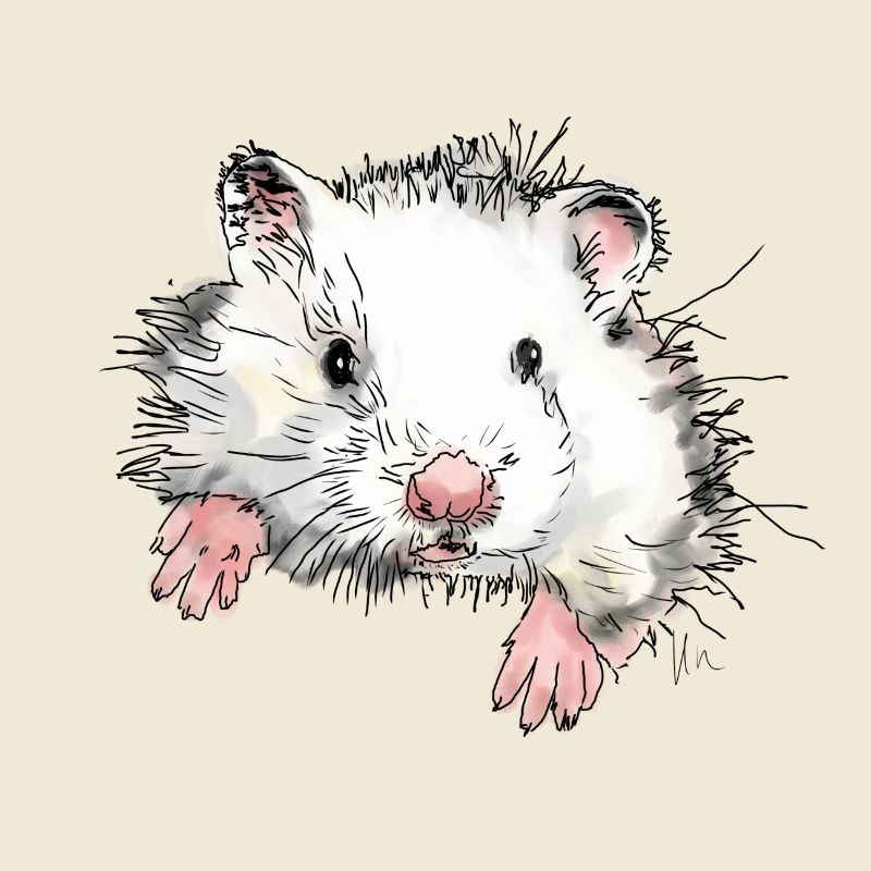 Hamster