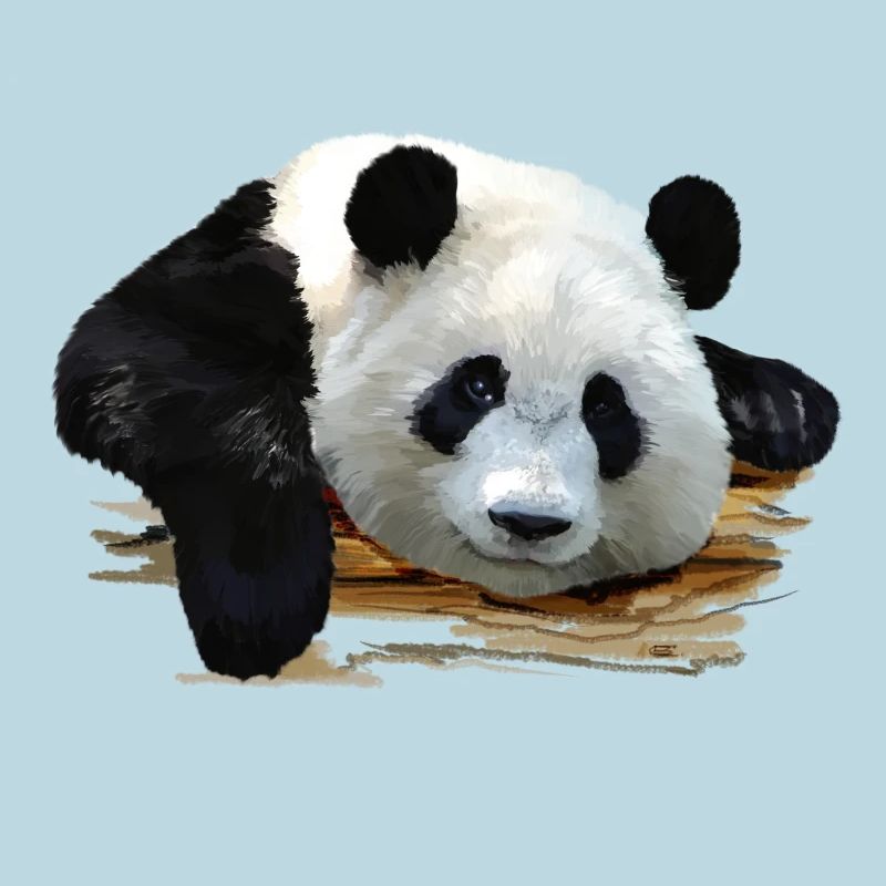 panda
