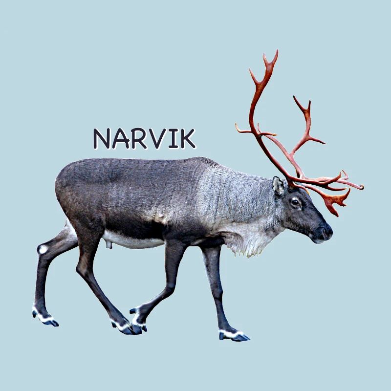 NARVIK