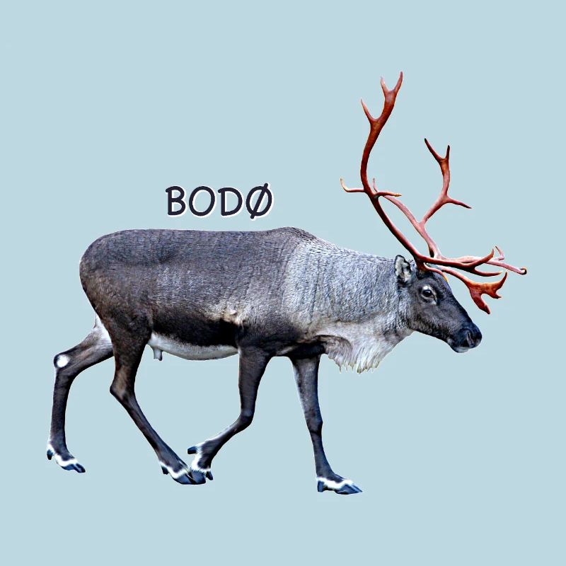 BODO