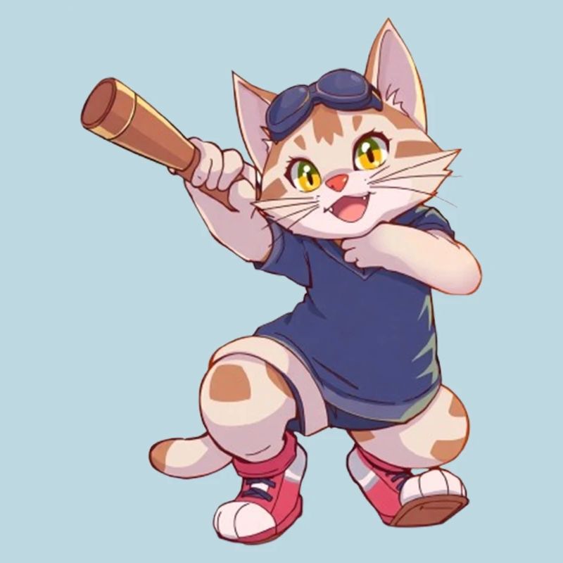 Chat, Chats