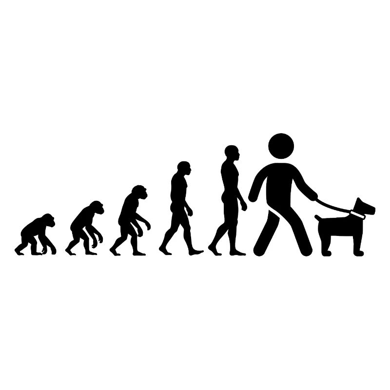 EVOLUTION: BORN TO DOG! HUNDE LIEBE, DOGWALKER