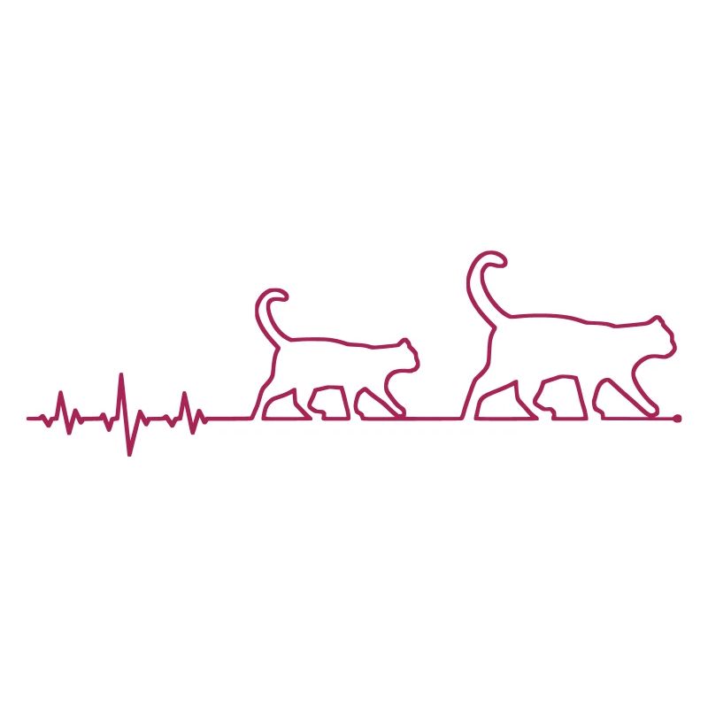 chat ECG
