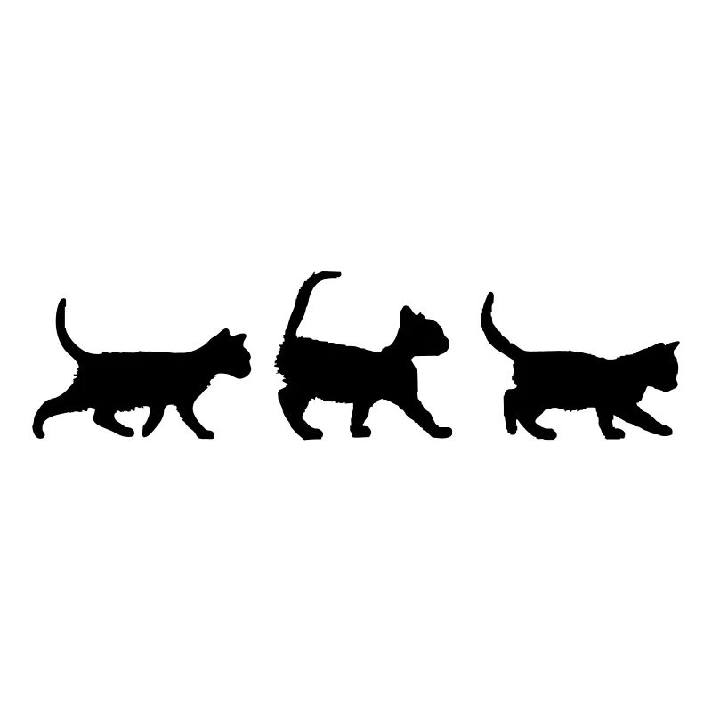 Three kittens ti