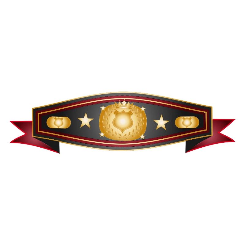 Strahlender Box-Gürtel – Champion Gürtel Design