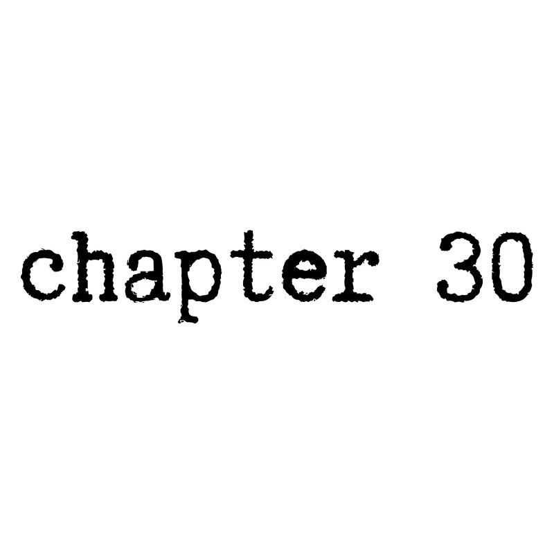 chapitre 30 Anniversaire