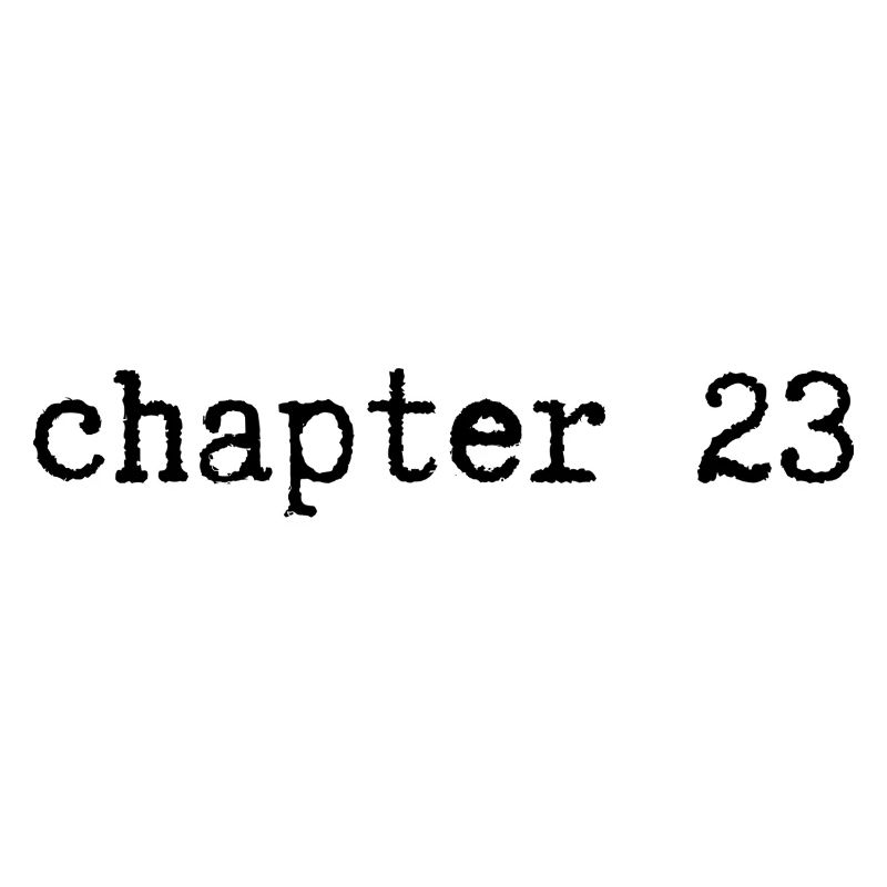 chapitre 23 : Anniversaire