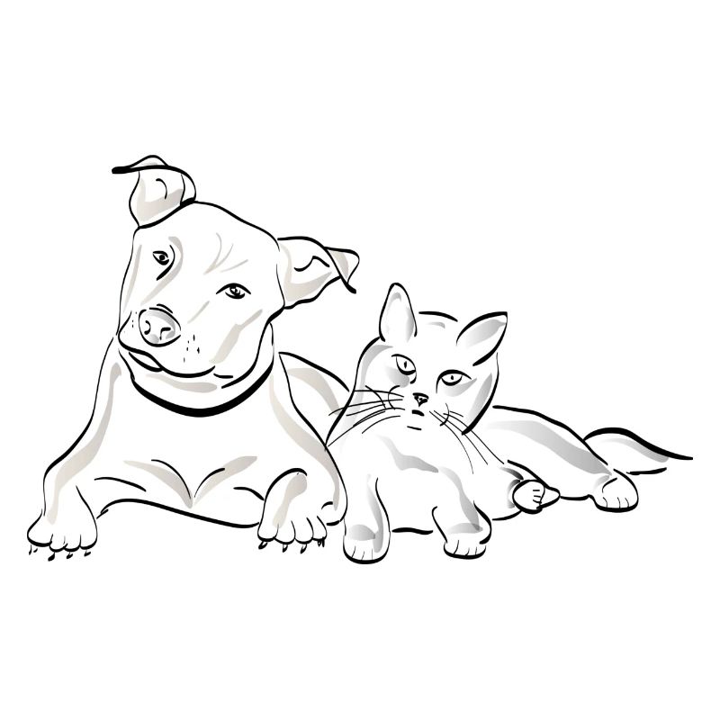 Chat chien