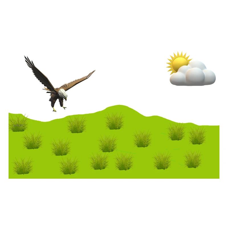 Eagle over green landscape