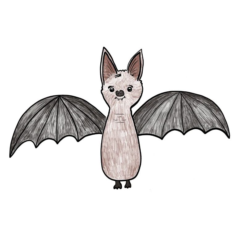 Fledermaus-Phantom Illustration