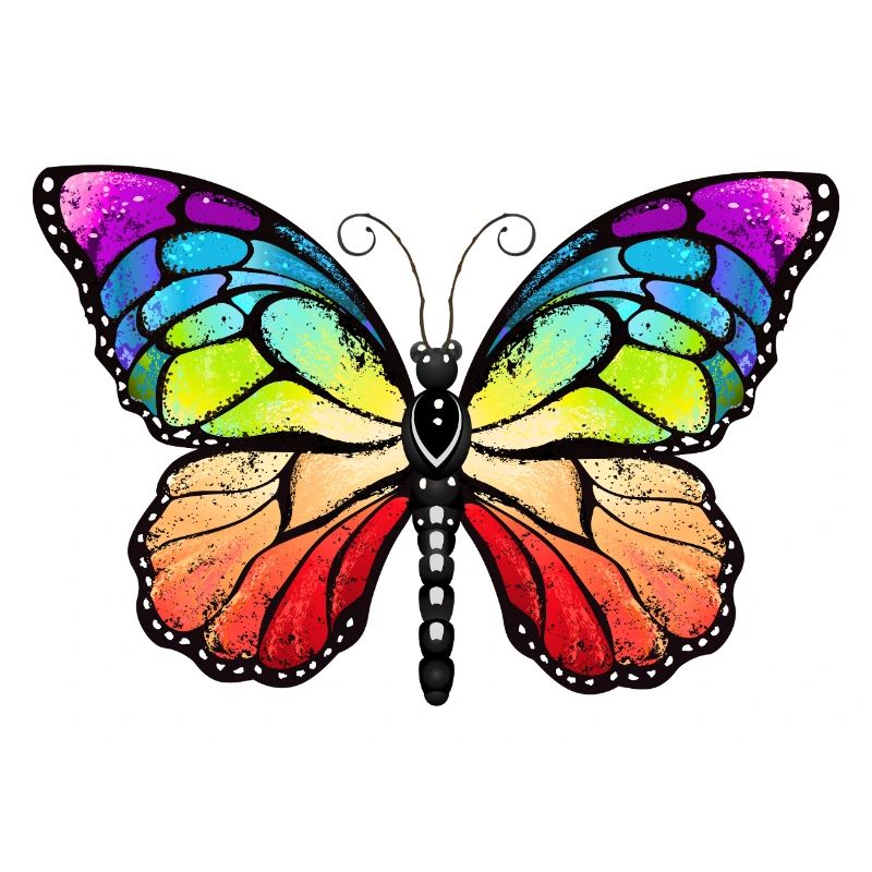 Rainbow pride butterfly