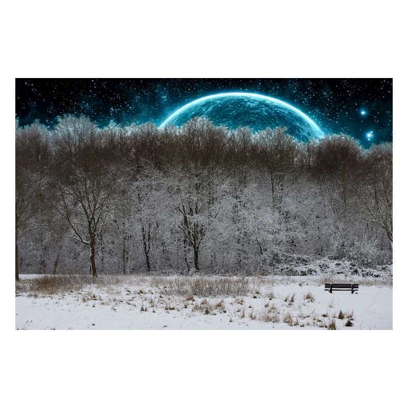 Lune céleste d’hiver dans la forêt