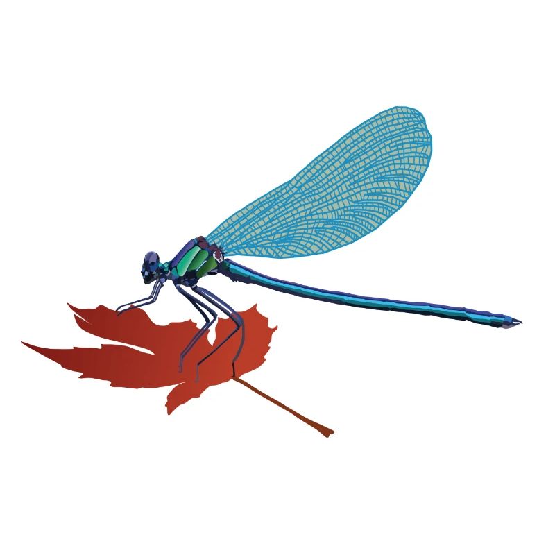 Lilli, the dragonfly