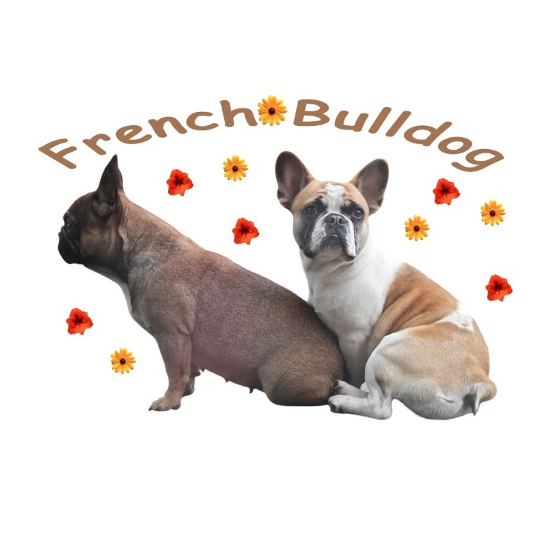 Français Fleurs de bouledogues