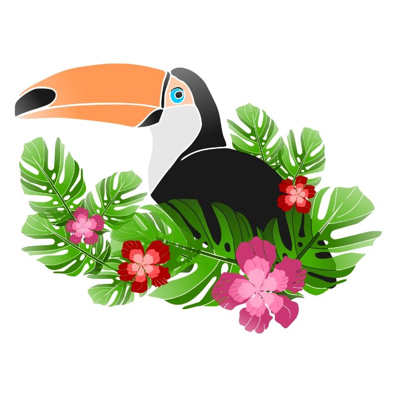 Toucan
