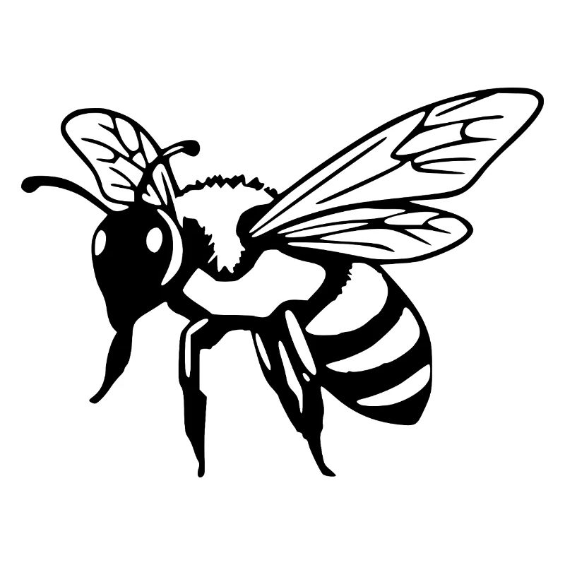 Bee Black Black Bee