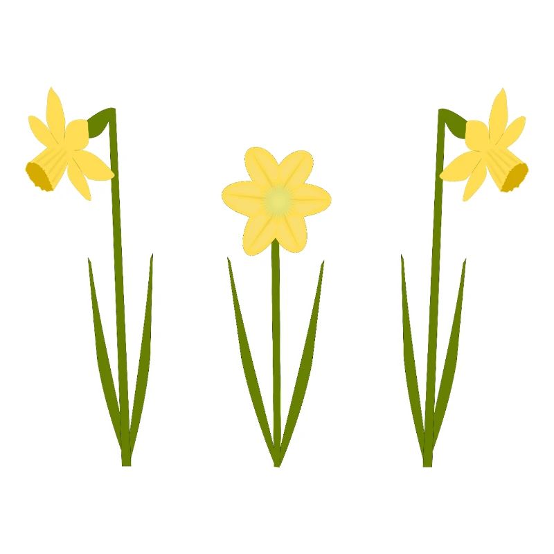 Anniversaire de mars Fleurs de naissance Jonquilles en fleurs