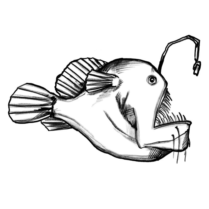 Deep Sea Frogfish Monster - Illustration