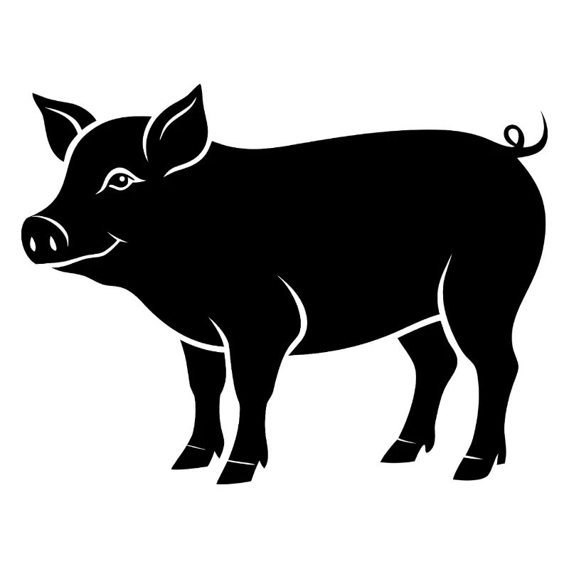pig