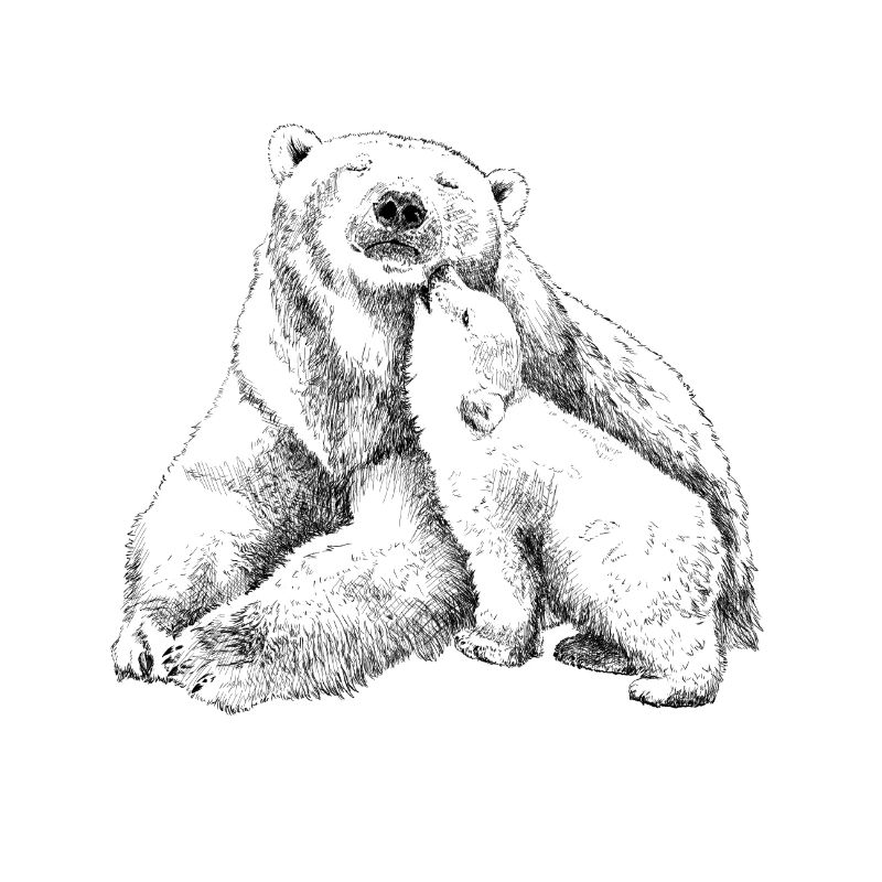 Icebear