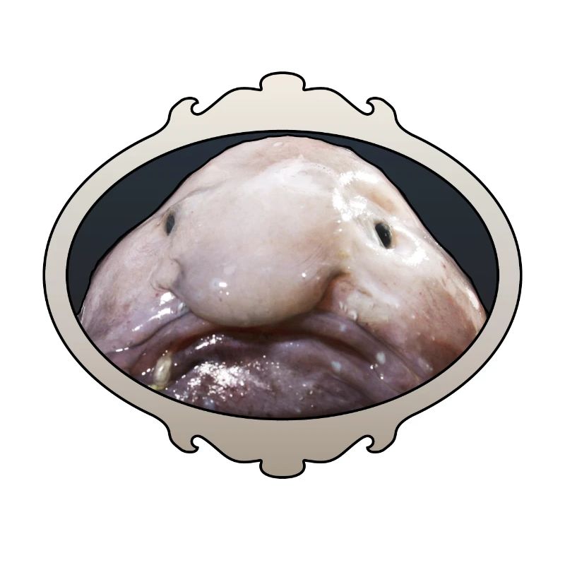 Laid blobfish, laid, Mr Blob