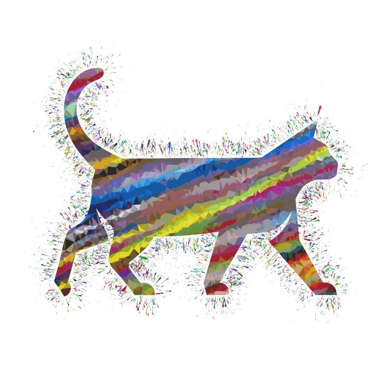 Cat Prism Rainbow Animals