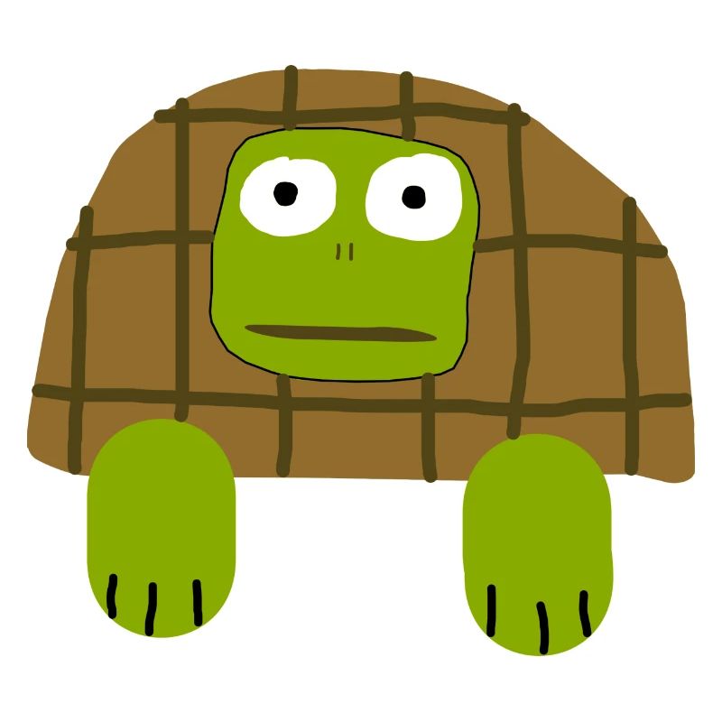 Ugly Turtle