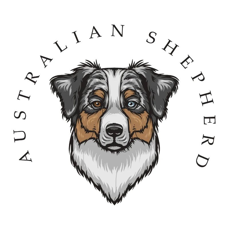Australian Shepherd