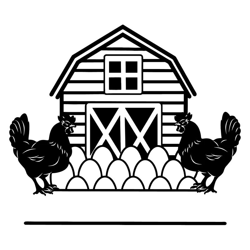 Poulets ferme noire