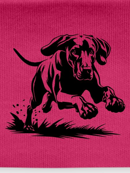 Weimaraner