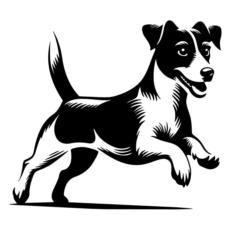 Jack Russell Terrier