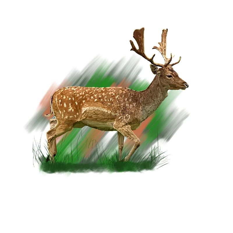 Cerf en brosse