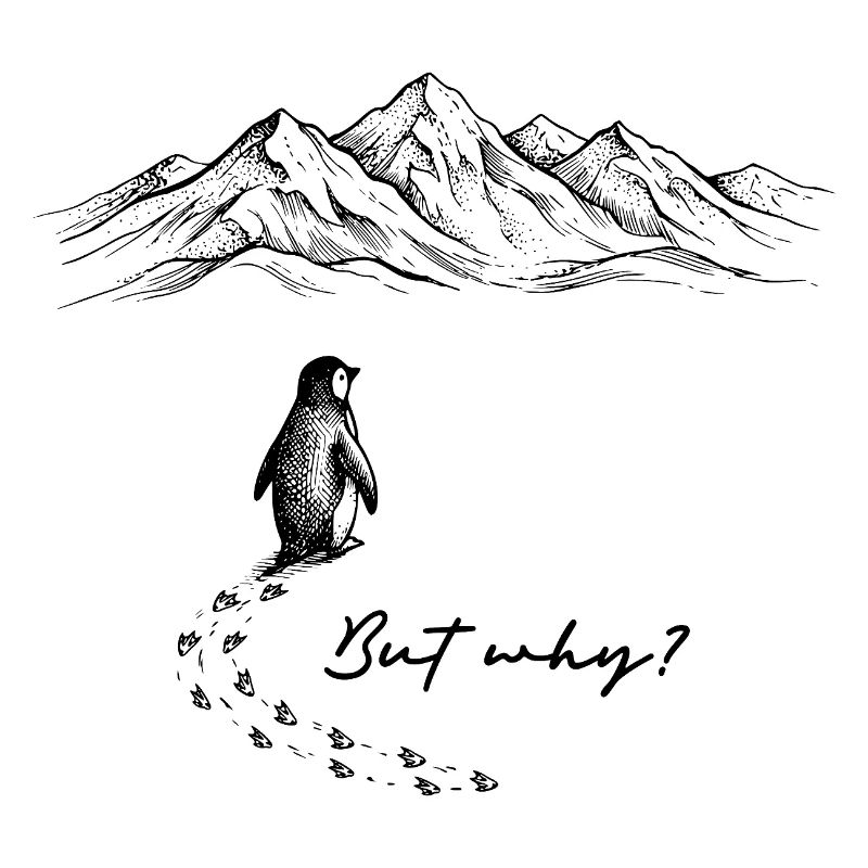 Penguin Meme But why? Snow Trail Mountains Doodle