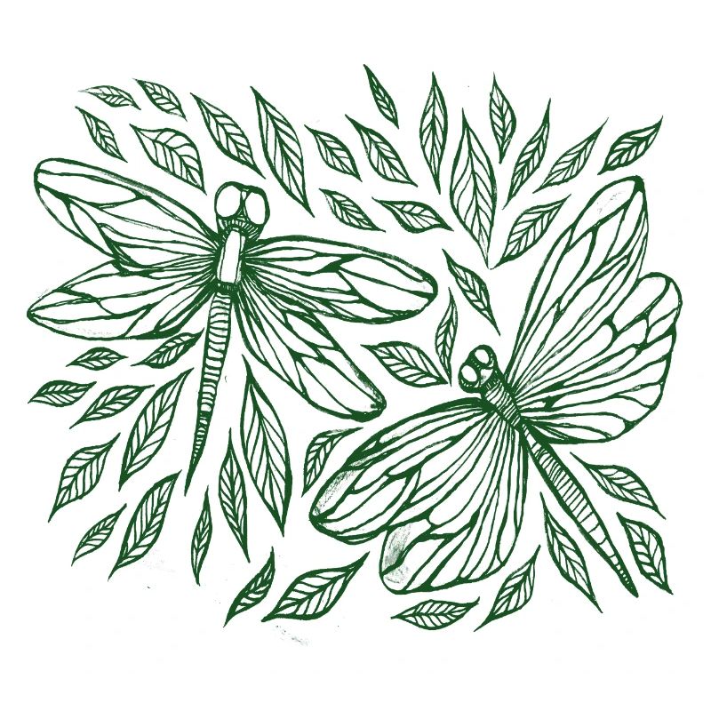 Libellules et feuilles Botanique